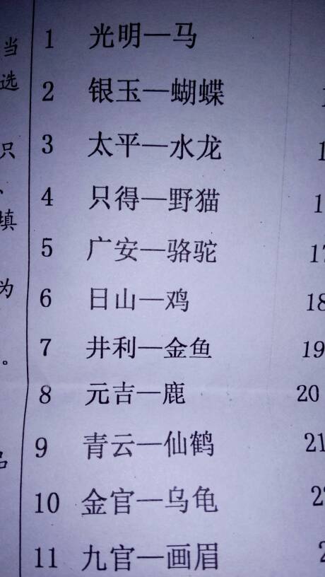 头顶蓝天脚踏地，四代同堂四庆寿。打一精准生肖，综合解答解释落实_o9a28.70.71