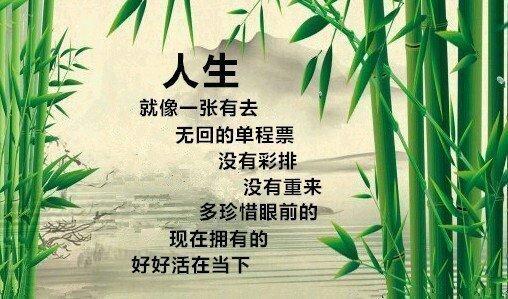 试过如飞不等人,爱惜时刻惜一分代表什么生肖?，构建解答解释落实_g1216.43.20