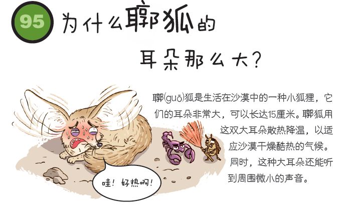 識少少，扮代表。胡说八道狐狐叫业 打一个生肖，前沿解答解释落实_fm88.61.93