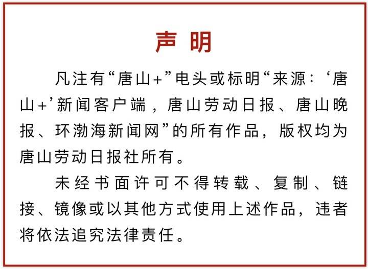 却有八戒义相助,二三两数反复来是什么生肖，精准解答解释落实_a005.60.68